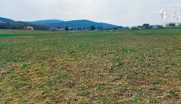 Szalowa, działka rolna 4,5 ha, 1114S/2024S/2024