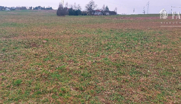 Szalowa, działka rolna 4,5 ha, 1114S/2024S/2024